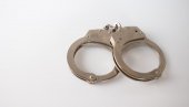 DONELA  PIŠTOLJ SA KOJIM JE PUCANO NA BAJU? Među uhapšenima zbog nestanka Aleksandra Nešovića i supruga bivšeg policajca