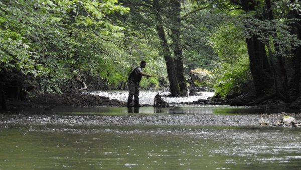 НА ПЕЦАЊЕ У НАЦИОНАЛНИ ПАРК: Риболов на језерима планине Таре