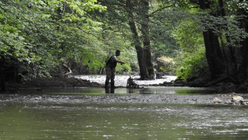 NA PECANJE U NACIONALNI PARK: Ribolov na jezerima planine Tare