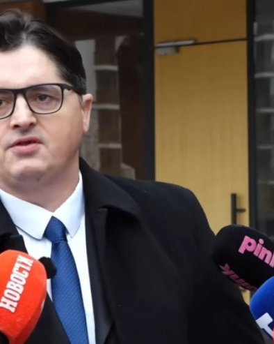 Посланик Мрдић: Поштоваћемо мишљење Венецијанске комисије у складу Уставом и са интересима Србије