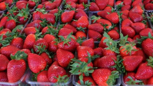 Jagode kao tek ubrane i posle nedelju dana? Potrebna vam je samo jedna stvar koju već imate