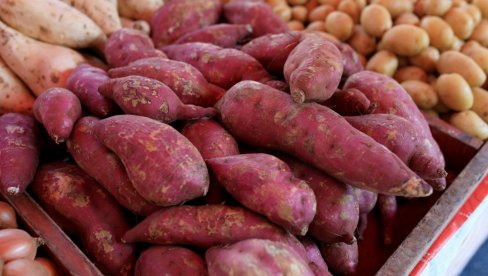 ЗАРАДИТЕ И ДО 40.000 ЕВРА ГОДИШЊЕ: Ове три културе могу донети богатство - Одмах покрените бизнис!