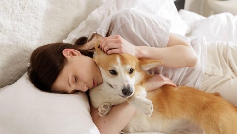Uvedena jedinstvena mera: Na bolovanje i kada vam se razboli kućni ljubimac