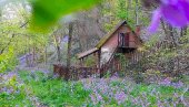 Staza Ivice i Marice: Skriveni dragulj Vršačkih planina idealan za prolećnu šetnju (FOTO)