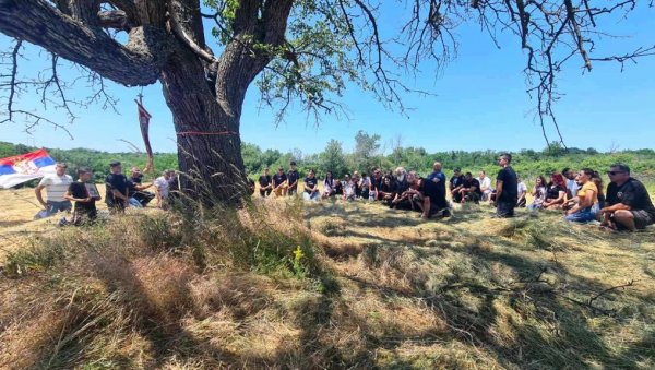 Једно село, шест записа: У Бусиловцу код Параћина, народ чува стабла која вековима имају статус светог дрвета (ФОТО)