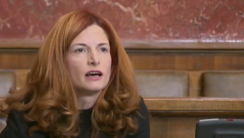 Nije nama u interesu da vi usvajate evropske zakone: Opozicija napokon pokazala svoje pravo lice