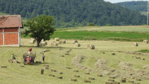 BESPOVRATNO 40 MILIONA DINARA: Vlada usvojila uredbu za pomoć privredi na selu