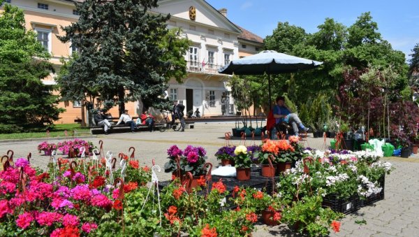 У суботу ће мирисати центар Кикинде: Одржаће се базар и Сајам цвећа