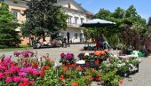 U subotu će mirisati centar Kikinde: Održaće se bazar i Sajam cveća
