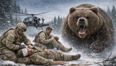 Сусрет са звери на Аљасци: Припадници елитне дивизије САД тешко повређени у нападу медведа