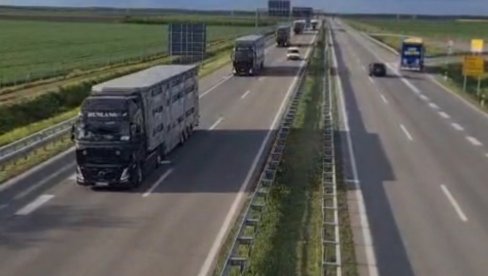 Отворено још једно тржиште: Србија извезла 8 хиљада јагњади у Либију