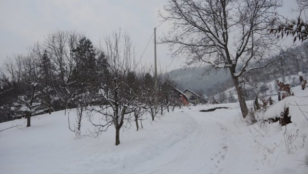 Хоће ли малине страдати због снега? Воћари у Кушићима код Ивањице забринути