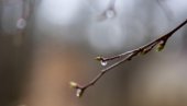 DANAS SMENA SUNCA I OBLAKA: Najviša dnevna temperatura do 26 stepeni