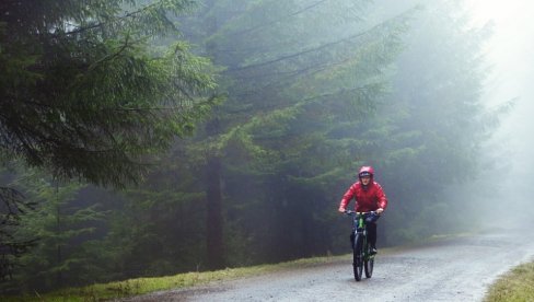 Најновија Студија: Гљивице у земљишту стварају кишу?