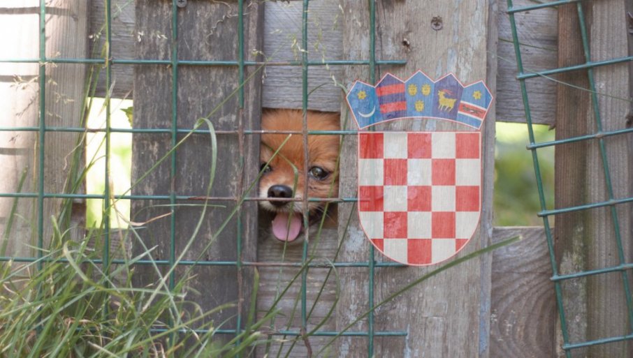 Невероватан случај у Хрватској: Кроз ограду помазила померанце у комшијском дворишту - уследила је драма која још траје