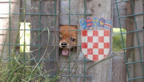 Neverovatan slučaj u Hrvatskoj: Kroz ogradu pomazila pomerance u komšijskom dvorištu - usledila je drama koja još traje