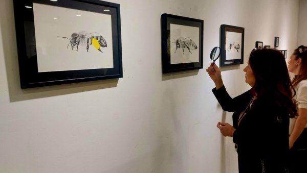 Уметност опстанка: Изложба слика ликовне уметнице Сање Ђурић у Зрењанину (ФОТО)