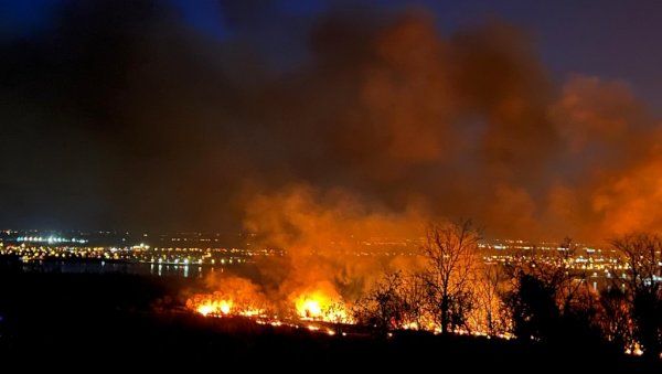 ТРЕЋИ ДАН БУКТИ ПОЖАР У СЕЛУ БРЕСТИЦЕ, НАДОМАК НИКШИЋА: Опасност и даље прети, мештани сами на првој линији одбране