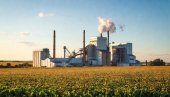 SRBIJA JAČA INDUSTRIJU ŠEĆERA: Stručnjaci o nameri MK grupe da preuzme šećeranu u Crvenki