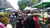 CVEĆARI UKRASILI TABAČKU ČARŠIJU: U centru Požarevca i ove godine održan još jedan Festival cveća