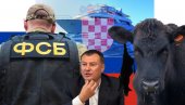 RUSKI AGENTI STIGLI I DO HRVATSKE: Pukovnik FSB bežao u lešu krave, tražili ga na jahti u Jadranu