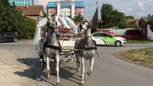 DOK JE SNAŠA, BIĆE I ČILAŠA: U Banatu se opet vraća tradicija venčanja uz karuce i konje (FOTO)