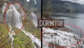 Pukle čeline: Šta se to dešava na Durmitoru? (foto)