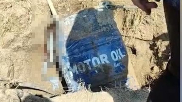 ЕКСКЛУЗИВНО - НОВОСТИ НА МЕСТУ ЗЛОЧИНА: Прва слика са ископавања бурета у ком су, како се сумња, остаци Александра Нешовића Баје