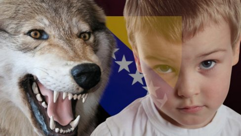 MISTERIJA DIVLJEG DETETA IZ BOSNE: Odraslo među vukovima, lovci ga našli u šumu kako ide četvoronoške i REŽI