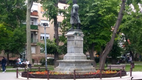 УЛЕПШАВАЊЕ ГРАДА: У центру Пожаревца засађене бројне цветне леје