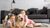 5 РАСА ПАСА КОЈЕ НИСУ ЗА ДЕЦУ: Могу да буду опасне са најмлађима