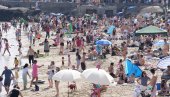 KOLIKO JE ZAISTA OPASNA: Riba zec u grčkim morima uznemirila turiste, ali nije jedina