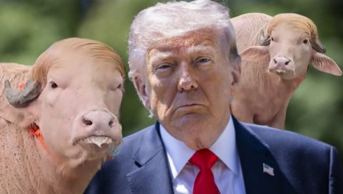 ТРАМП НЕЋЕ БИТИ ЗАКЛАН! Биво са фризуром лидера САД-а поштеђен жртвовања у задњи час - толико популаран да је и Влада интервенисала