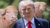 ТРАМП НЕЋЕ БИТИ ЗАКЛАН! Биво са фризуром лидера САД-а поштеђен жртвовања у задњи час - толико популаран да је и Влада интервенисала
