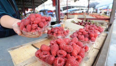 DA LI TREBA PRATI MALINE? Evo kako da ih očistite, a da ne postanu gnjecave i kašaste