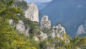 TRI MESTA U SRBIJI ZA LETO IZ SNOVA: Gde pobeći od vrućine i pronaći prirodu koja oduzima dah