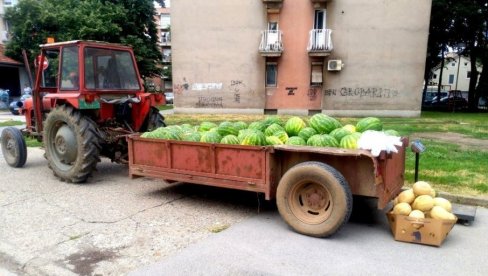 ПРОДАЈА ЛУБЕНИЦА: У Пожаревцу и Костолцу одређене 24 локације