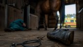 NESREĆA NA IMANJU: Kobila ubila veterinara dok joj je radio kopita