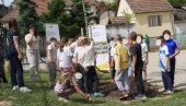 ТРИ КОПРИВИЋА И ЈУДИНО ДРВО: Поводом обележавања Светског дана животне средине у Ош Јован Дучић у Петроварадину