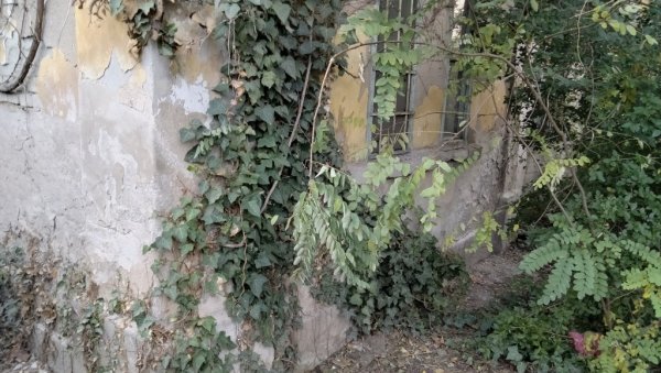ИЗБРОЈАН 31 УБОД НОЖЕМ: Наставља се суђење за убиство у напуштеној кући у Новом Саду