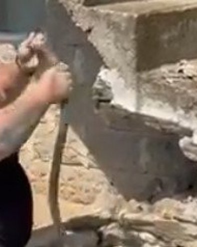 МАЈКО МОЈА, ЈАО! Чувеног змијоловца ујела змија: Пази, изеде те! (ВИДЕО)