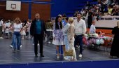 160 GODINA VAROŠI: „Danom porodice“ u Lagatoru počelo je obeležavanje Dana grada Loznice