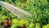 УШТЕДА ВОДЕ ПРИ ЗАЛИВАЊУ: Десет савета који штеде новац
