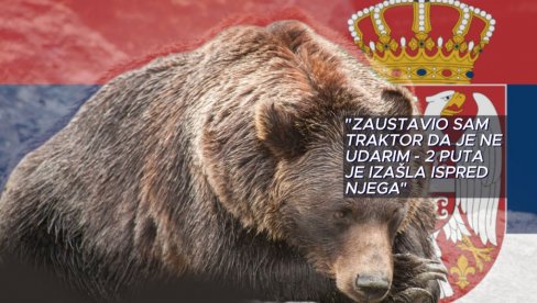 УПОЗОРЕЊЕ - МЕДВЕДИ У ОВОМ ДЕЛУ СРБИЈЕ ЗАШЛИ У НАСЕЉЕ: Медведица му 2 пута изашла испред трактора