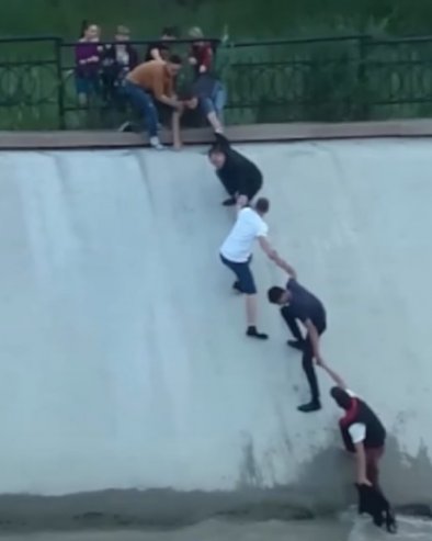 ЈЕДНА СЛИКА - ЗАУВЕК! За живот пса и човека који га је спашавао - за солидарност (ВИДЕО)