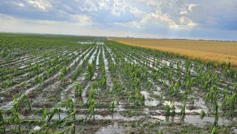 SUŠE I POPLAVE DVA LICA KLIMATSKE KRIZE U ITALIJI: Štete se ne mogu još sabrati