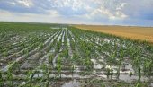 ГРАД ПОЖЊЕО УСЕВЕ, НА ТРЕЋИНИ ОРАНИЦА НИЈЕ ОСТАЛО НИ ЗРНО: Више од десет хиљада хектара у суботичком атару погођено невременом