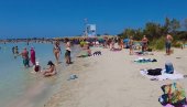 RIBA ZEC SE ŠIRI MEDITERANOM I IZAZIVA UZBUNU: Grčke vlasti započinju specijalnu akciju za njeno uklanjanje (FOTO)