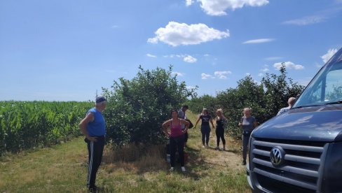 BERBA OD RANE ZORE: Višnja rod rodila i na Fruškoj Gori