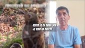 Pecaroš iz Srbije sat vremena VISIO NA DRVETU BEŽEĆI OD MEDVEDA: Krenuo na Jasenicu u ribolov, a onda sam čuo urlanje